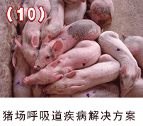 �i��(ch��ng)������������Q����